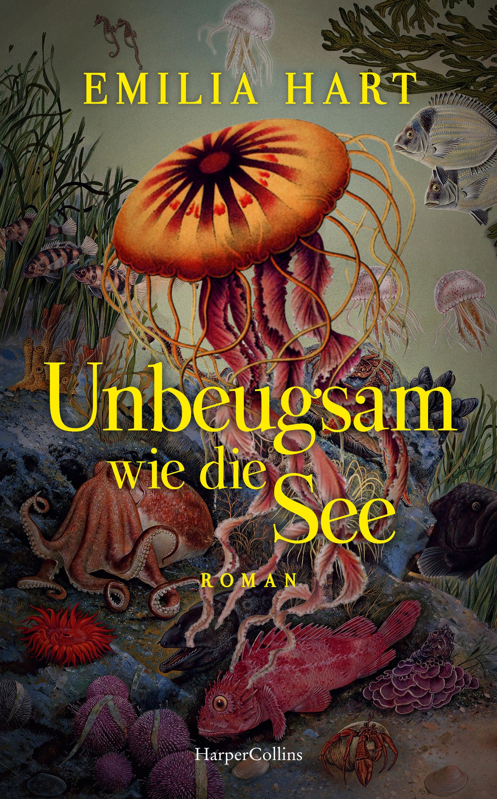 buy-the-best-unbeugsam-wie-die-see-discount_0.jpg