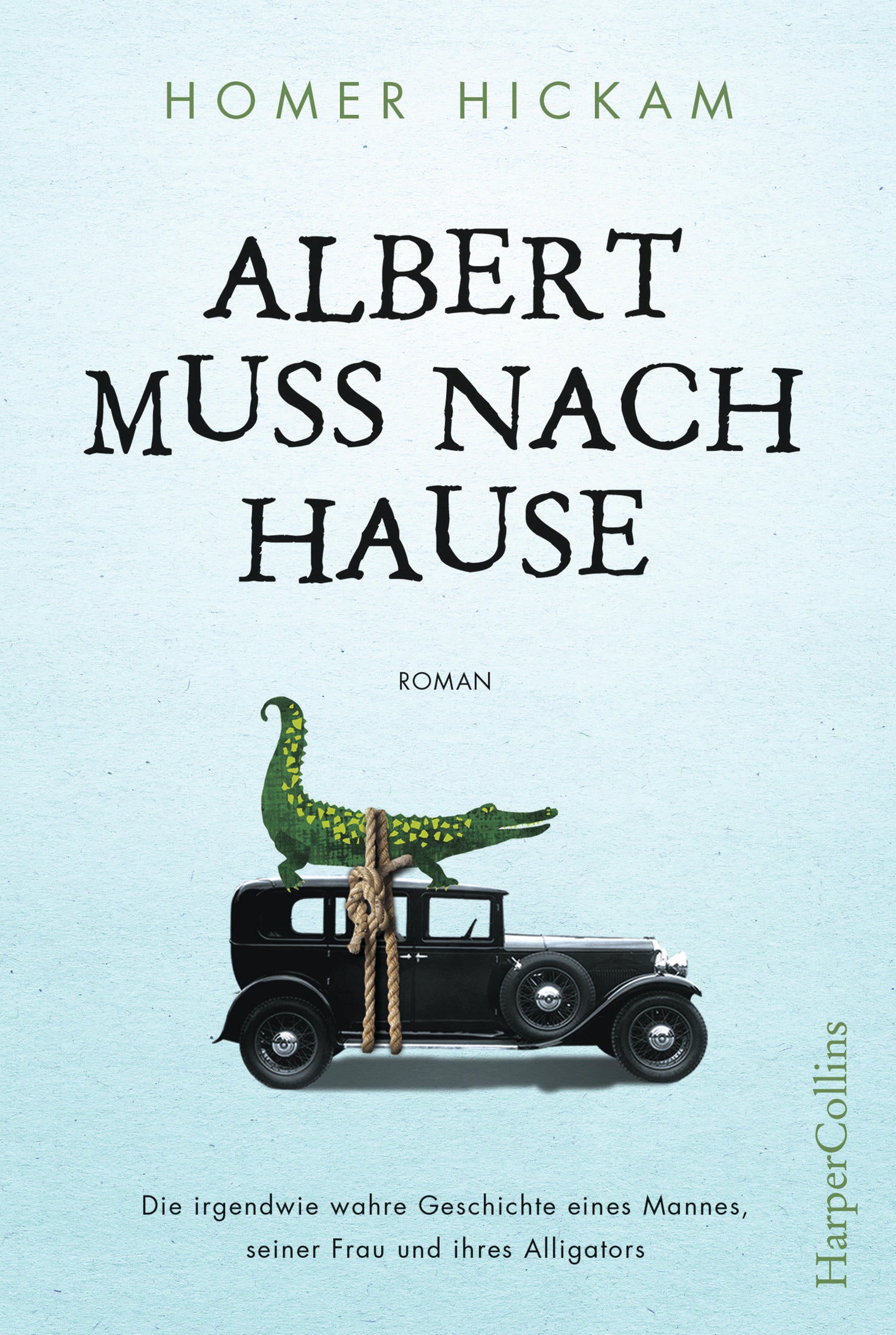 buying-albert-muss-nach-hause-online-hot-sale_0.jpg