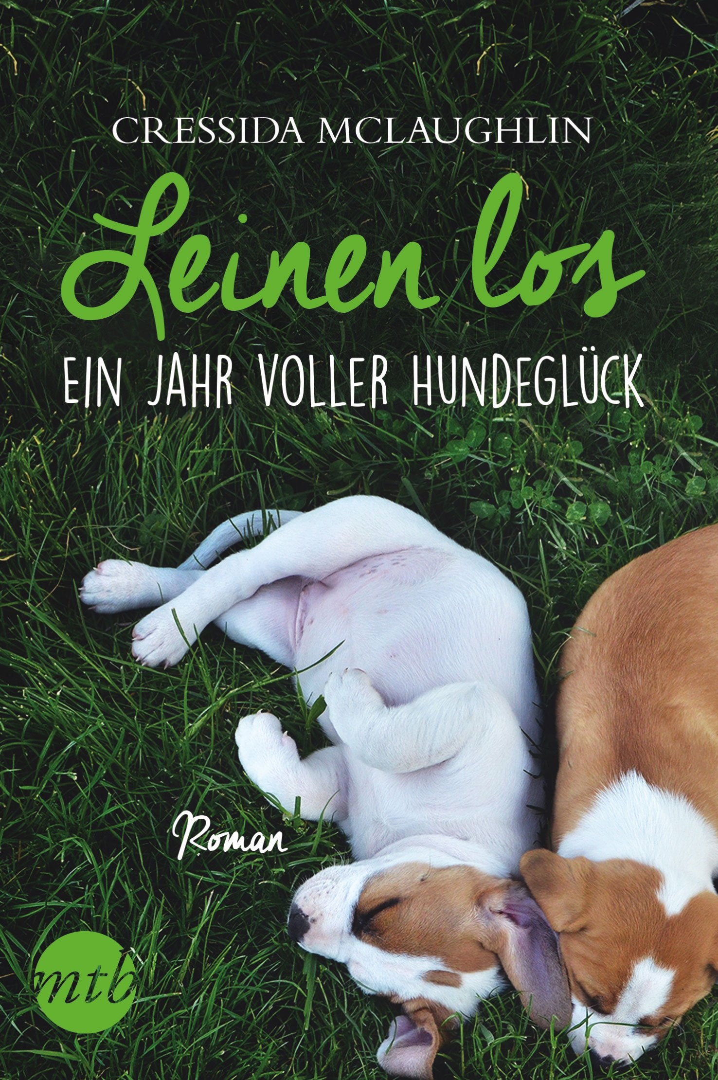 shop-the-best-leinen-los-ein-jahr-voller-hundegluck-online_0.jpg