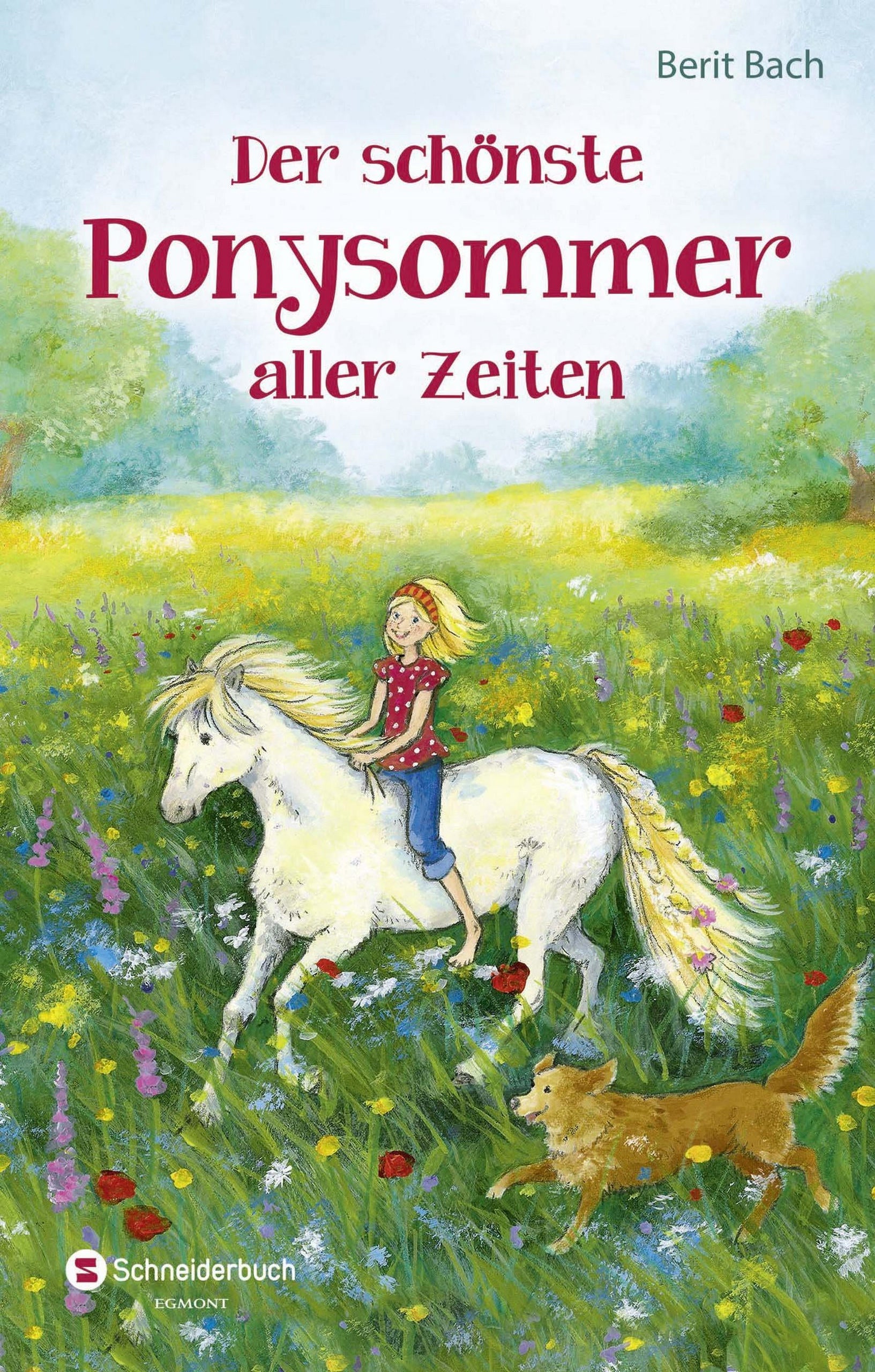 cheap-der-schonste-ponysommer-aller-zeiten-online_0.jpg